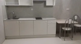 Студия, 26 м², ст. м. Девяткино
