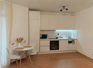 Студия, 29 м², ст. м. Девяткино