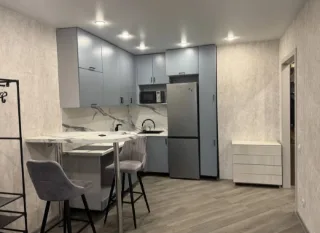 Студия, 29 м², ст. м. Девяткино