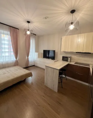 Студия, 25 м², ст. м. Рыбацкое