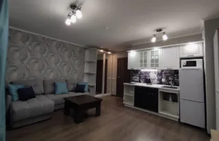 Студия, 30 м², ст. м. Парнас