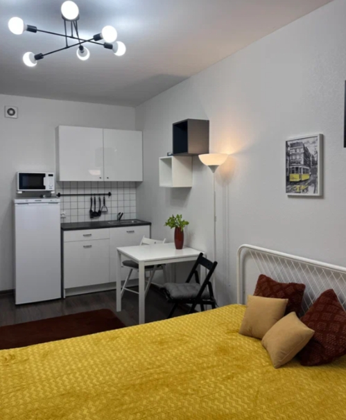 Студия, 24 м², ст. м. Проспект Ветеранов