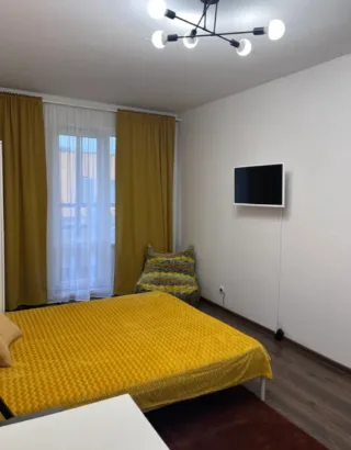 Студия, 24 м², ст. м. Проспект Ветеранов