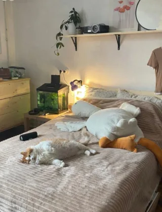 Комната, 20 м², ст. м. Спортивная