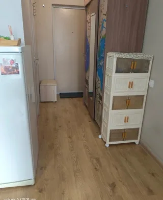 Студия, 28 м², ст. м. Парнас