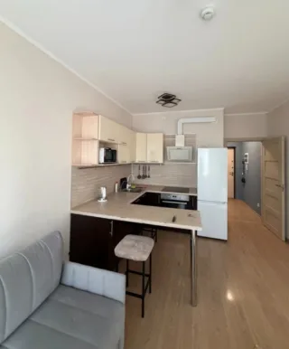 Студия, 25 м², ст. м. Комендантский проспект