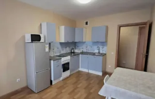 Студия, 38 м², ст. м. Парнас