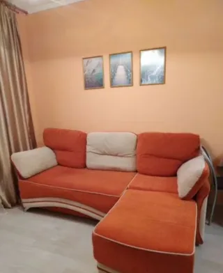 1-к. кв., 41 м², ст. м. Пионерская