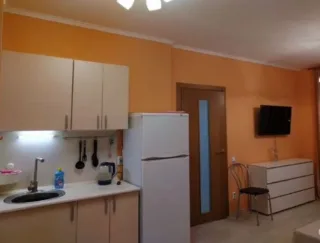 1-к. кв., 41 м², ст. м. Пионерская