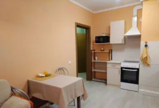 1-к. кв., 41 м², ст. м. Пионерская