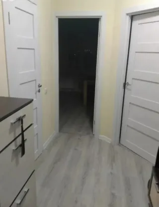 1-к. кв., 31 м², ст. м. Ломоносовская