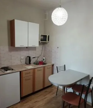 1-к. кв., 31 м², ст. м. Проспект Большевиков