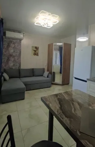 Студия, 25 м², ст. м. Пионерская