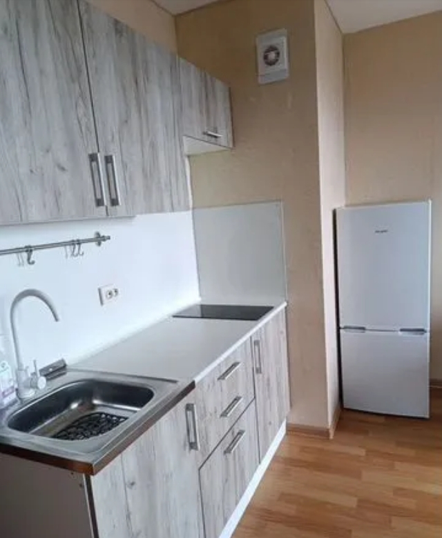 Студия, 25 м², ст. м. Парнас