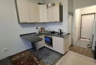 Студия, 20 м², ст. м. Девяткино