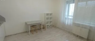 Студия, 24 м², ст. м. Улица Дыбенко