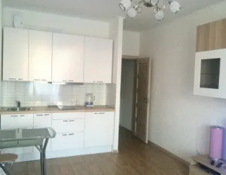 Студия, 25 м², ст. м. Автово
