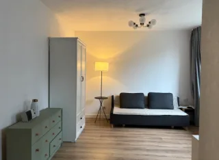 Студия, 24 м², ст. м. Девяткино