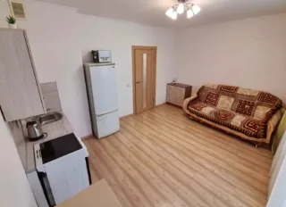 Студия, 25 м², ст. м. Девяткино