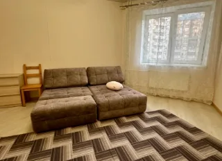 2-к. кв., 60 м², ст. м. Проспект Большевиков