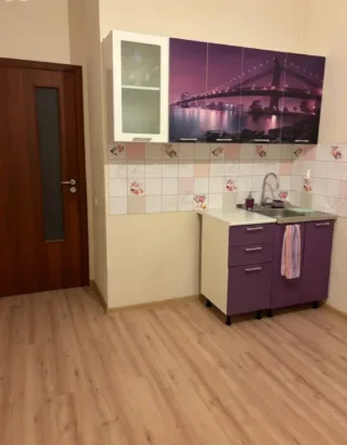 1-к. кв., 35 м², ст. м. Девяткино