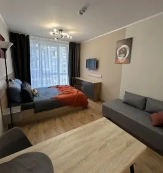 Студия, 25 м², ст. м. Парнас