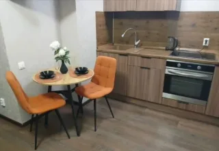 Студия, 21 м², ст. м. Парнас