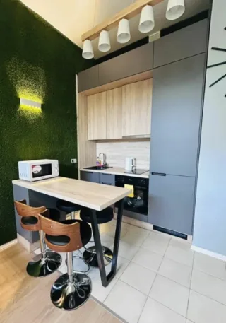 1-к. кв., 36 м², ст. м. Проспект Просвещения