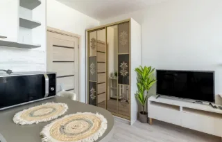 Студия, 28 м², ст. м. Девяткино