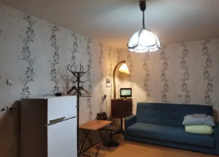 Комната, 20 м², ст. м. Рыбацкое