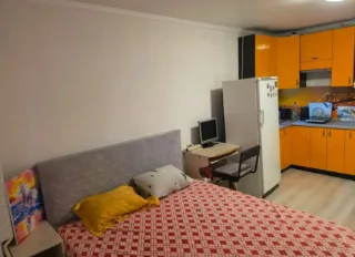 Студия, 26 м², ст. м. Девяткино