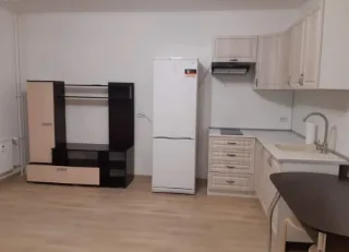 Студия, 28 м², ст. м. Девяткино