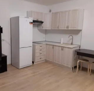 Студия, 28 м², ст. м. Девяткино