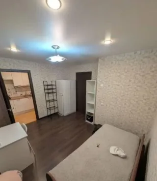 1-к. кв., 23 м², ст. м. Проспект Ветеранов
