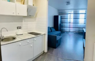 Студия, 27 м², ст. м. Проспект Просвещения