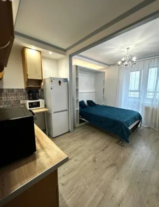 Студия, 24 м², ст. м. Девяткино