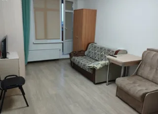 Студия, 25 м², ст. м. Проспект Большевиков