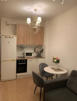Студия, 25 м², ст. м. Проспект Ветеранов