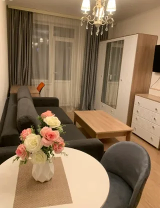 Студия, 25 м², ст. м. Проспект Ветеранов