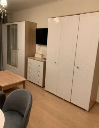 Студия, 25 м², ст. м. Проспект Ветеранов
