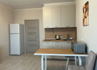 Студия, 24 м², ст. м. Улица Дыбенко