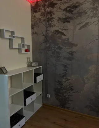 Студия, 25 м², ст. м. Улица Дыбенко