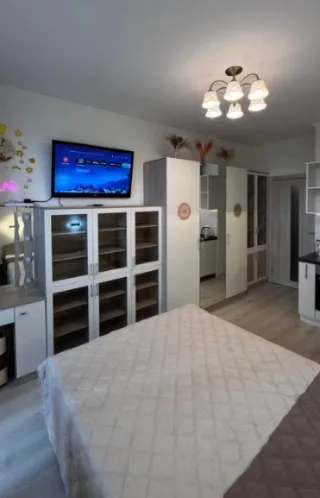 Студия, 24 м², ст. м. Девяткино