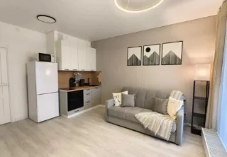 Студия, 25 м², ст. м. Улица Дыбенко