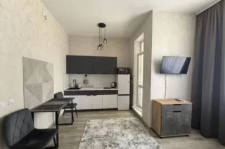 Студия, 24 м², ст. м. Улица Дыбенко