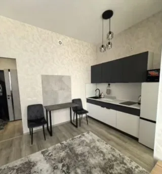 Студия, 24 м², ст. м. Улица Дыбенко