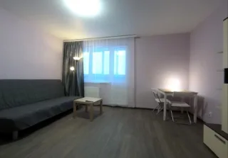 Студия, 30 м², ст. м. Парнас
