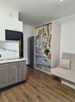 Студия, 30 м², ст. м. Проспект Ветеранов