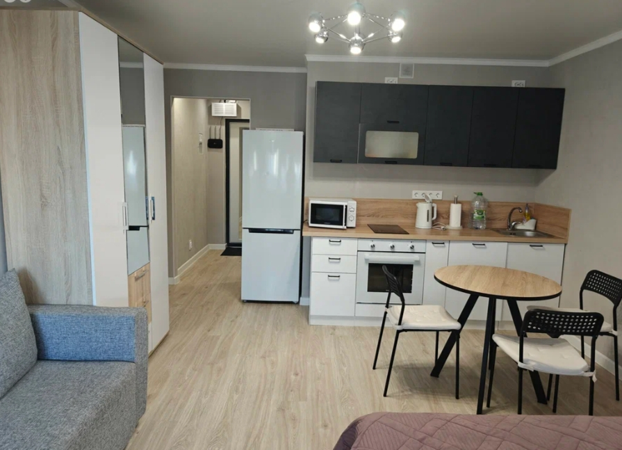 Студия, 27 м², ст. м. Парнас