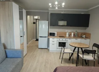 Студия, 27 м², ст. м. Парнас